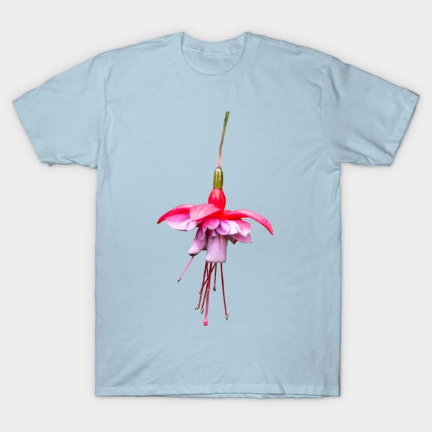 Pink Fuchsia T-Shirt by Shirasaya